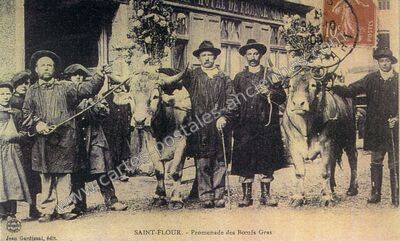 Carte postale ancienne Promenade des Bœufs Gras — Saint-Flour (Cantal)