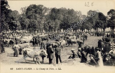 Carte postale ancienne Le Champ de Foire — Saint-Flour (Cantal)