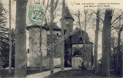 Carte postale ancienne Chateau du Trioulou — Le Trioulou (Cantal)