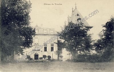 Carte postale ancienne Chateau du Trioulou — Le Trioulou (Cantal)