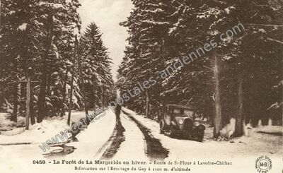 Carte postale ancienne Foret de la Margeride — Védrines-Saint-Loup (Cantal)