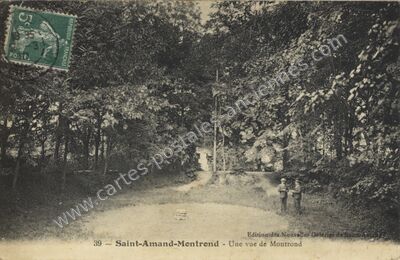 Carte postale ancienne Une vue de Montrond — Saint-Amand-Montrond (Cher)