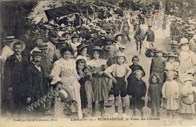 Carte postale ancienne La Vente des Chevaux — Arnac-Pompadour (Corrèze)