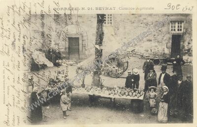 Carte postale ancienne Comice Agricole — Beynat (Corrèze)