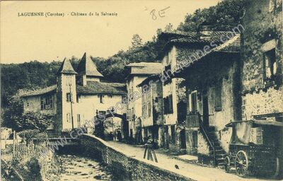 Carte postale ancienne Chateau de la Salvanie — Laguenne (Corrèze)