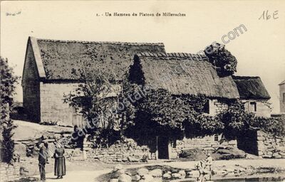 Carte postale ancienne Un Hameau du Plateau — Millevaches (Corrèze)