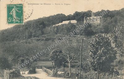 Carte postale ancienne Route de Brignac — Perpezac-le-Blanc (Corrèze)