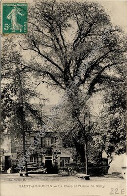 Carte postale ancienne La Place et l'Orme de Sully — Saint-Augustin (Corrèze)