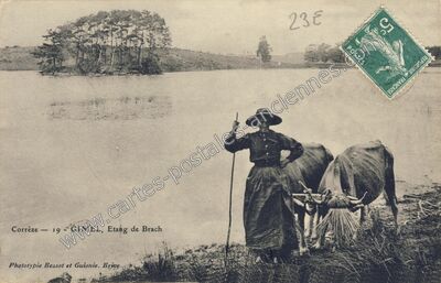 Carte postale ancienne Etang de Brach — Saint-Priest-de-Gimel (Corrèze)