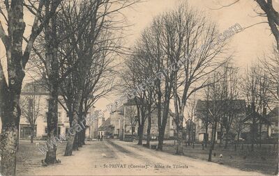 Carte postale ancienne Allée de Tilleuls — Saint-Privat (Corrèze)
