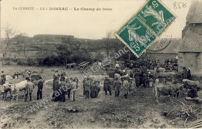 Carte postale ancienne Le Champ de foire — Sornac (Corrèze)