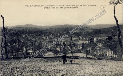 Carte postale ancienne Vue Générale prise du Calvaire Dans le fond, les Monedières — Treignac (Corrèze)