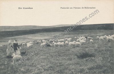 Carte postale ancienne Plateau de Millevaches — Millevaches (Corrèze)