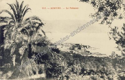 Carte postale ancienne Le Palmier — Ajaccio (Corse-du-Sud)