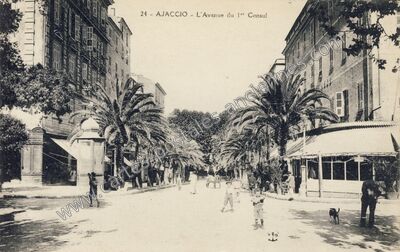 Carte postale ancienne L'Avenue du 1er Consul — Ajaccio (Corse-du-Sud)