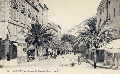 Carte postale ancienne Avenue du Premier Consul — Ajaccio (Corse-du-Sud)