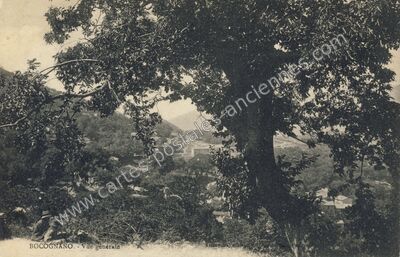 Carte postale ancienne Vue générale — Bocognano (Corse-du-Sud)