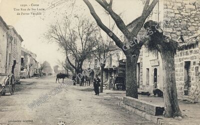 Carte postale ancienne Une Rue de Ste-Lucie — Porto-Vecchio (Corse-du-Sud)
