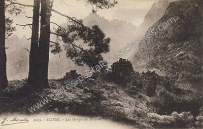 Carte postale ancienne Les Gorges de Bavella — Col de Bavella (Corse-du-Sud)