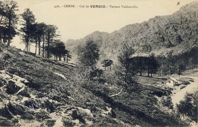 Carte postale ancienne Col de Vergio — Cagna (Corse-du-Sud)