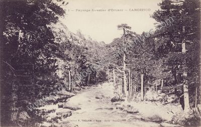 Carte postale ancienne Carozzica — Asco (Haute-Corse)