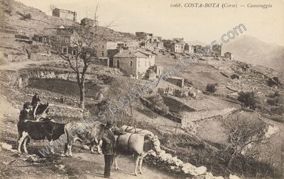Carte postale ancienne Costa-Bota — Canavaggia (Haute-Corse)