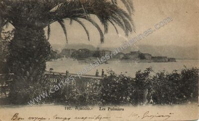 Carte postale ancienne Les Palmiers — Ajaccio (Corse-du-Sud)