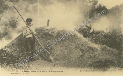 Carte postale ancienne Bois en Bourgogne — Non Localisée (Côte-d'Or)