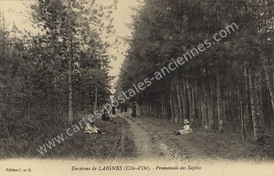 Carte postale ancienne Promenade des Sapins — Laignes (Côte-d'Or)