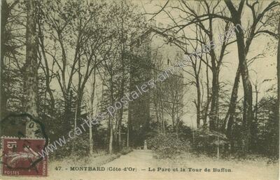 Carte postale ancienne Le Parc et la Tour de Buffon — Montbard (Côte-d'Or)