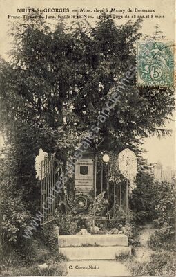 Carte postale ancienne Mon. élevé à Mesny de Boisseaux Franc-Tireur du Jura, fusillé le 20 Nov — Nuits-Saint-Georges (Côte-d'Or)