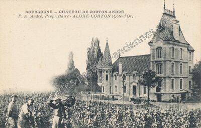 Carte postale ancienne Chateau de Corton Andre — Aloxe-Corton (Côte-d'Or)