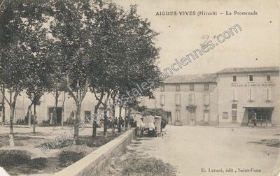 Carte postale ancienne Vives