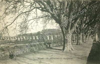 Carte postale ancienne Perspective — Bédarieux (Hérault)