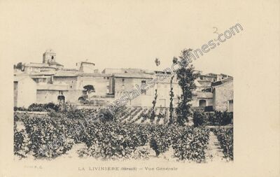 Carte postale ancienne La Livinière