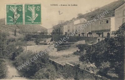 Carte postale ancienne Avenue de Lodève — Lunas (Hérault)