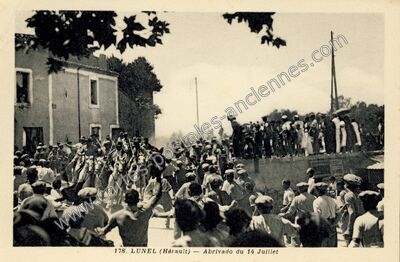 Carte postale ancienne Abrivado du 14 Juillet — Lunel (Hérault)