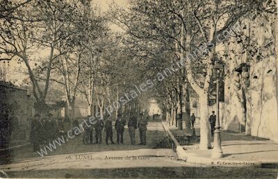 Carte postale ancienne Avenue de la Gare — Lunel (Hérault)