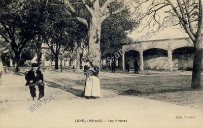 Carte postale ancienne Les Arènes — Lunel (Hérault)