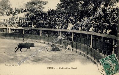 Carte postale ancienne Chûte d'un Cheval — Lunel (Hérault)