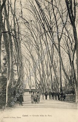 Carte postale ancienne Grande Allée du Parc — Lunel (Hérault)