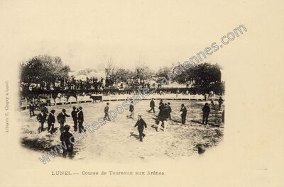 Carte postale ancienne Course de Taureaux aux Arênes — Lunel (Hérault)