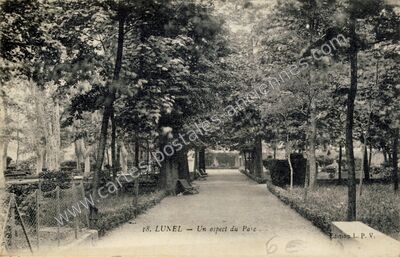 Carte postale ancienne Un aspect du Parc — Lunel (Hérault)