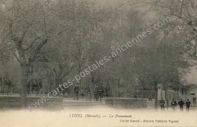 Carte postale ancienne La Promenade — Lunel (Hérault)
