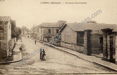 Carte postale ancienne Avenue Gambetta — Lunel (Hérault)