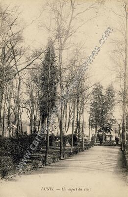 Carte postale ancienne Un aspect du Parc — Lunel (Hérault)