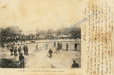 Carte postale ancienne Course de Taureaux aux Arênes — Lunel (Hérault)