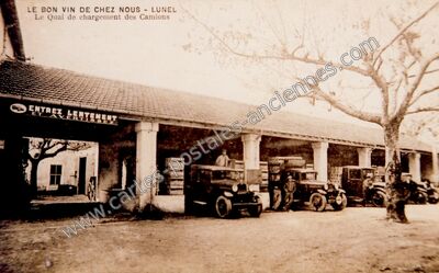 Carte postale ancienne Le Quai de chargement des Camions — Lunel (Hérault)