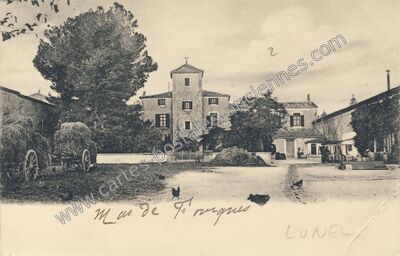 Carte postale ancienne Mas de Fourques — Lunel (Hérault)
