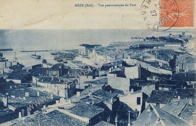 Carte postale ancienne Vue panoramique du Port — Mèze (Hérault)